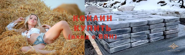 дживик Алзамай
