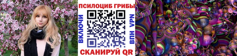 Псилоцибиновые грибы Psilocybine cubensis  Зеленокумск 